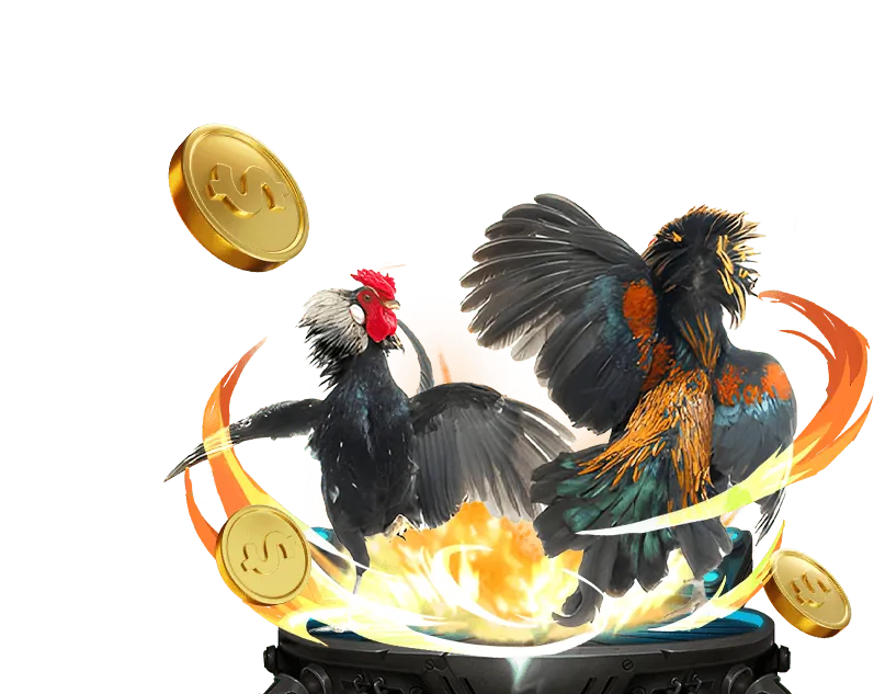 Lịch thi đấu các giải đá gà lớn